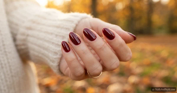Fall Nail Trends 2026: 25 Must-Try Nail Ideas for Autumn