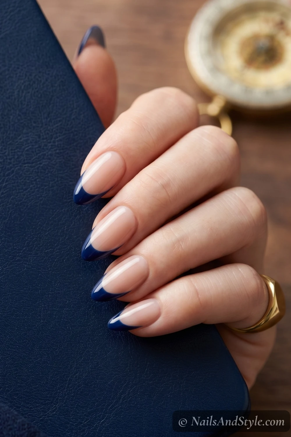 Sheer nude nails with deep navy French tips