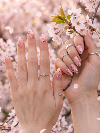 Dainty Blooms for Gentle Days