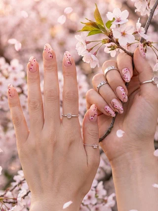 Dainty Blooms for Gentle Days Dainty Blooms for Gentle Days